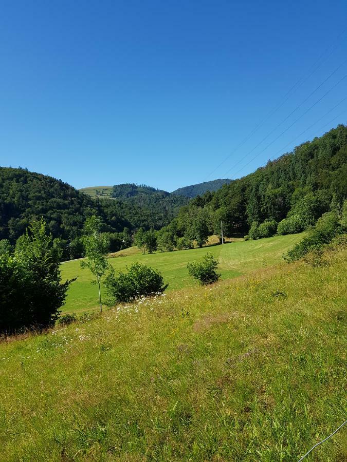 Wiesenblume Διαμέρισμα Schönau im Schwarzwald Εξωτερικό φωτογραφία