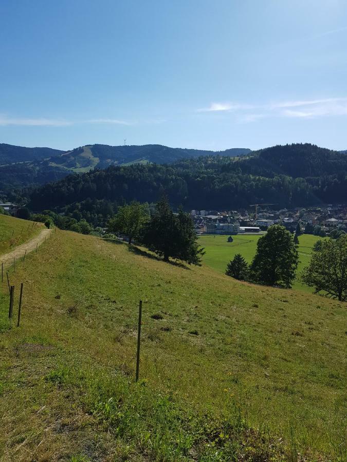 Wiesenblume Διαμέρισμα Schönau im Schwarzwald Εξωτερικό φωτογραφία
